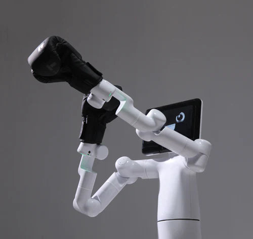 Mercury X1 humanoid robot