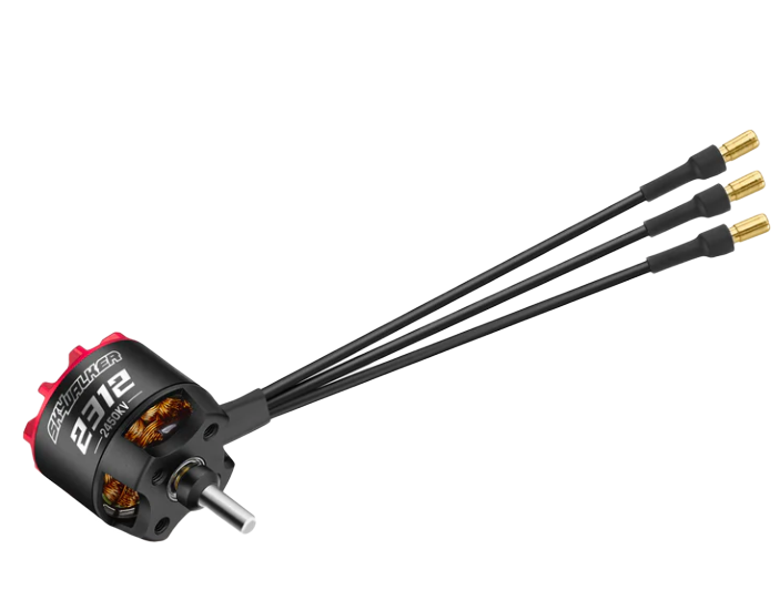 Skywalker 2312 SL motor