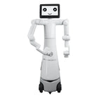 Mercury X1 humanoid robot