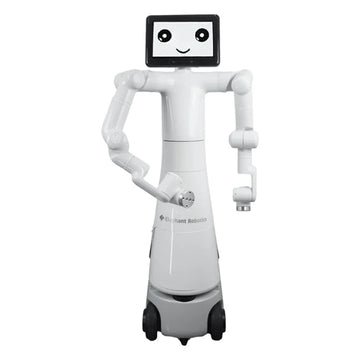 Mercury X1 humanoid robot