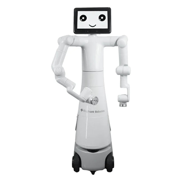 Mercury X1 humanoid robot