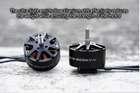 Foxeer Black Hornet 3115 Motor - 900KV