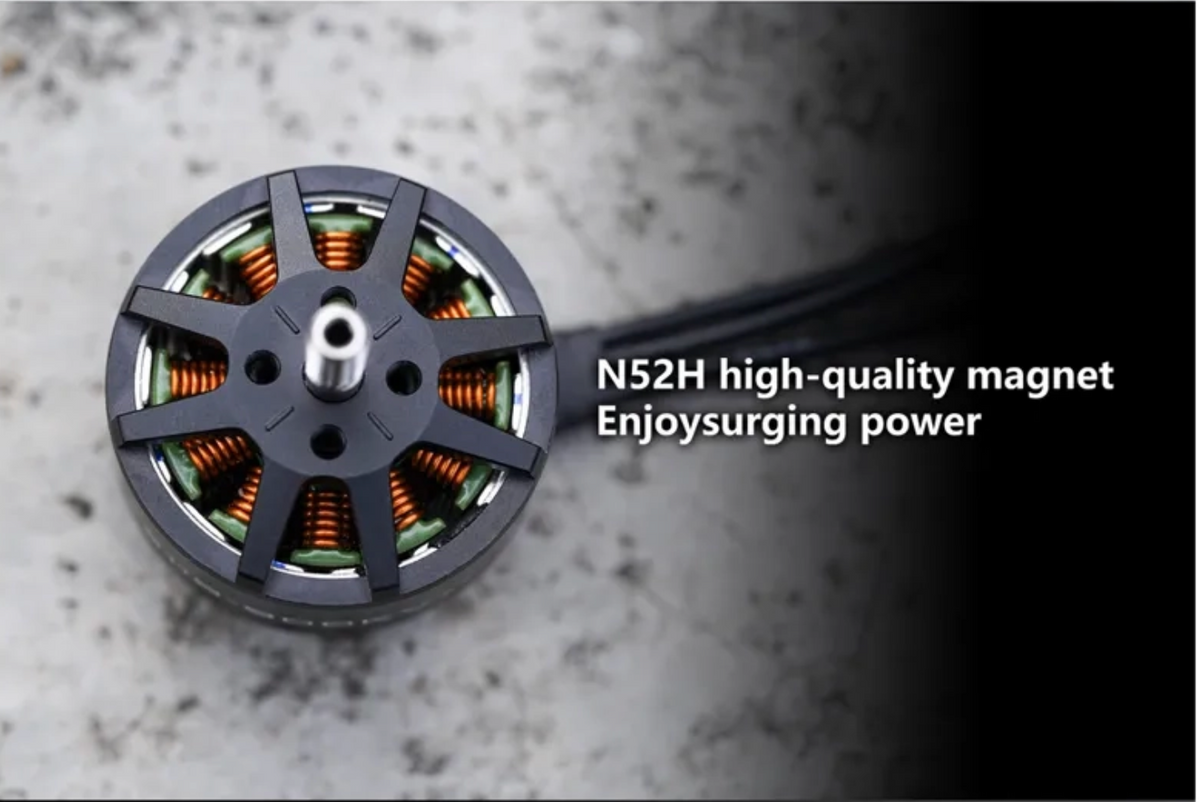 Foxeer Black Hornet 3115 Motor - 900KV