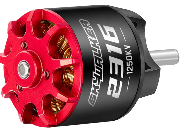 Skywalker 2316 SL motor