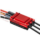 Skywalker ESC