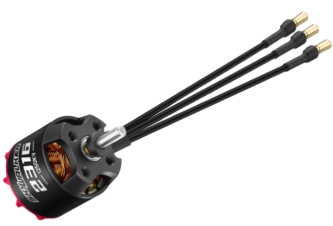 Skywalker 2316 SL motor