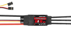 Skywalker ESC